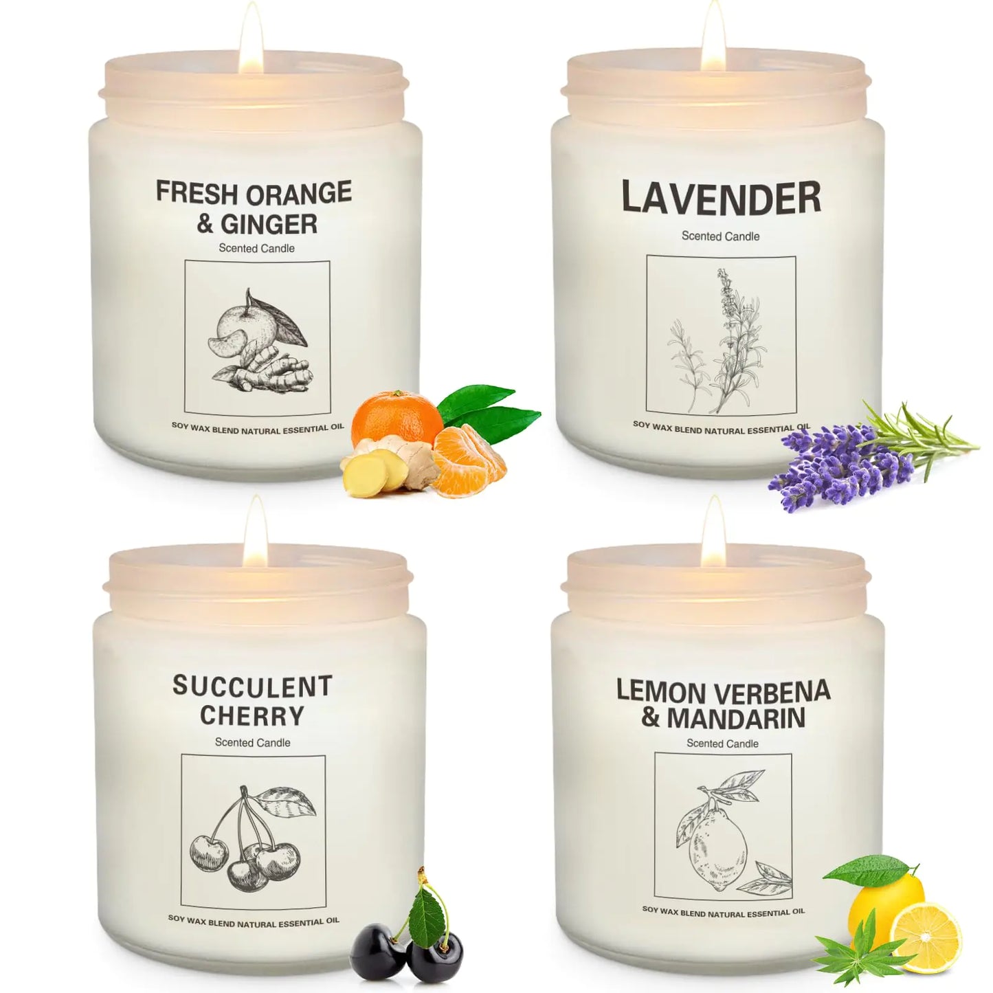 Scented Soy Wax Candle Set | 4 Fragrances | 240+ Hours